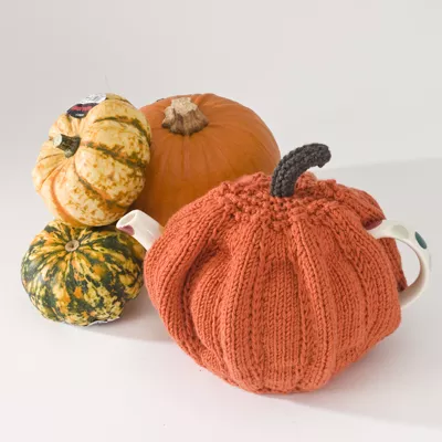 Pumpkin Tea Cosy Kit - Click Image to Close