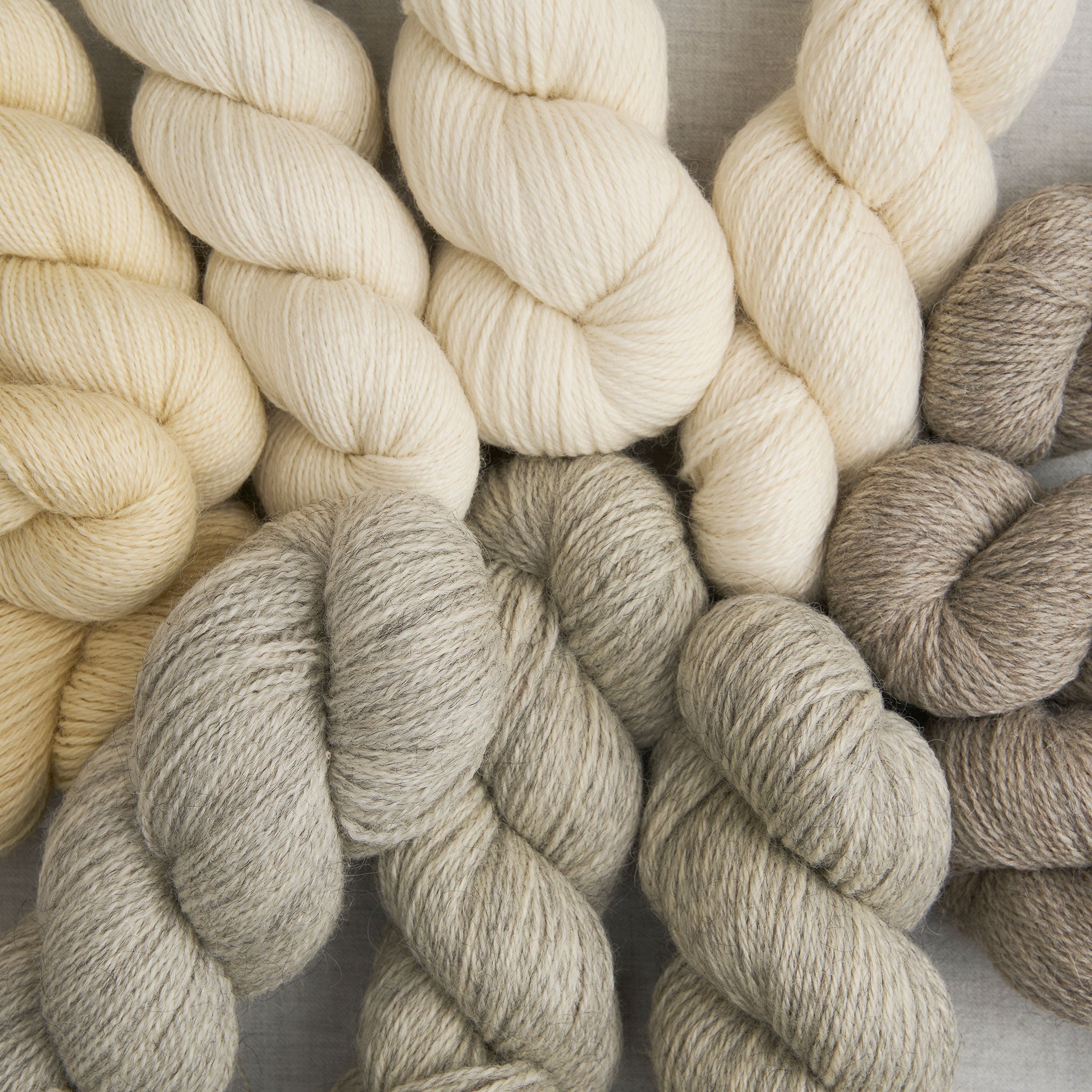 Bramble & Fleece Origin 005 | Undyed Wensleydale Fine Yarn 100g