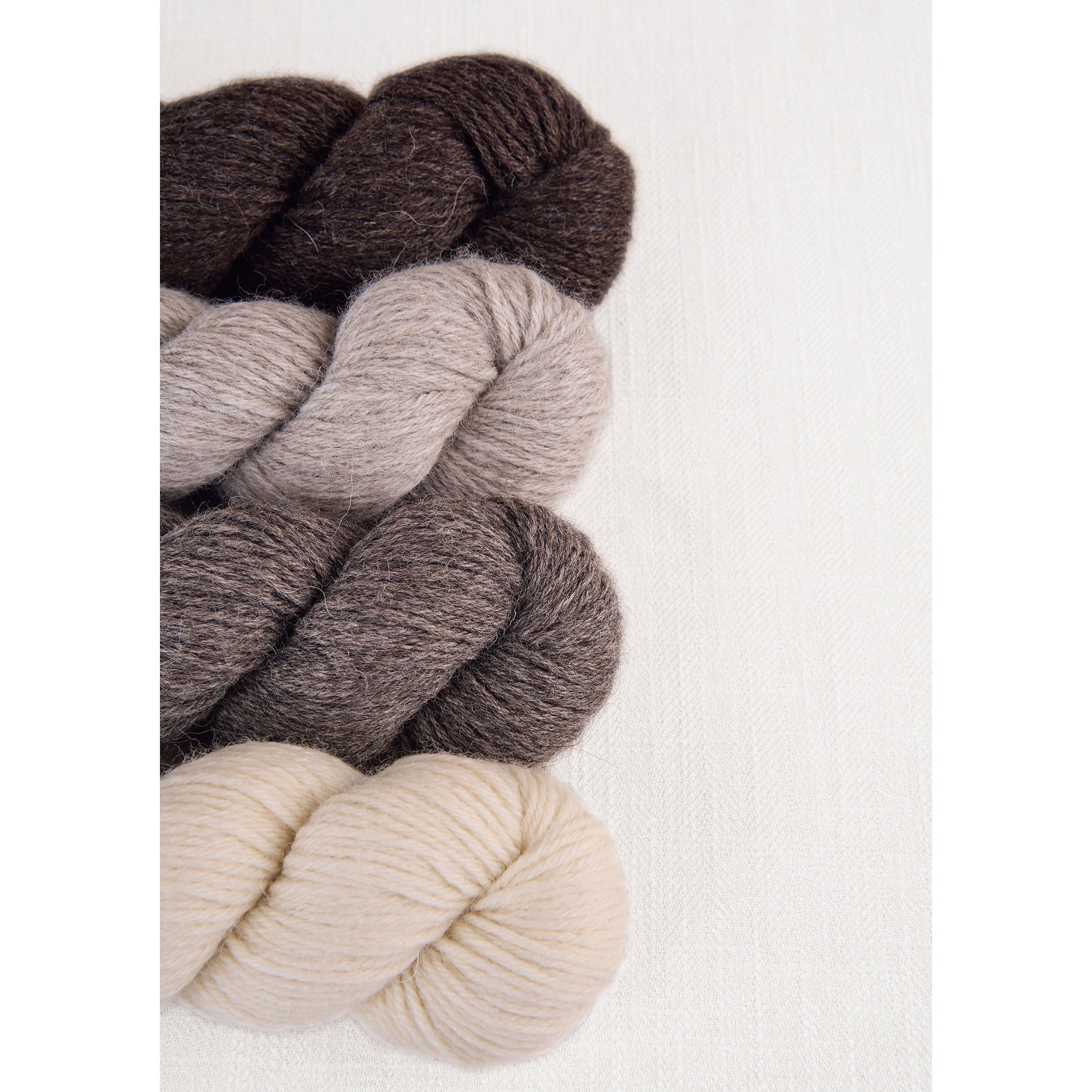 Bramble & Fleece Sheepsoft Aran | British Knitting Yarn