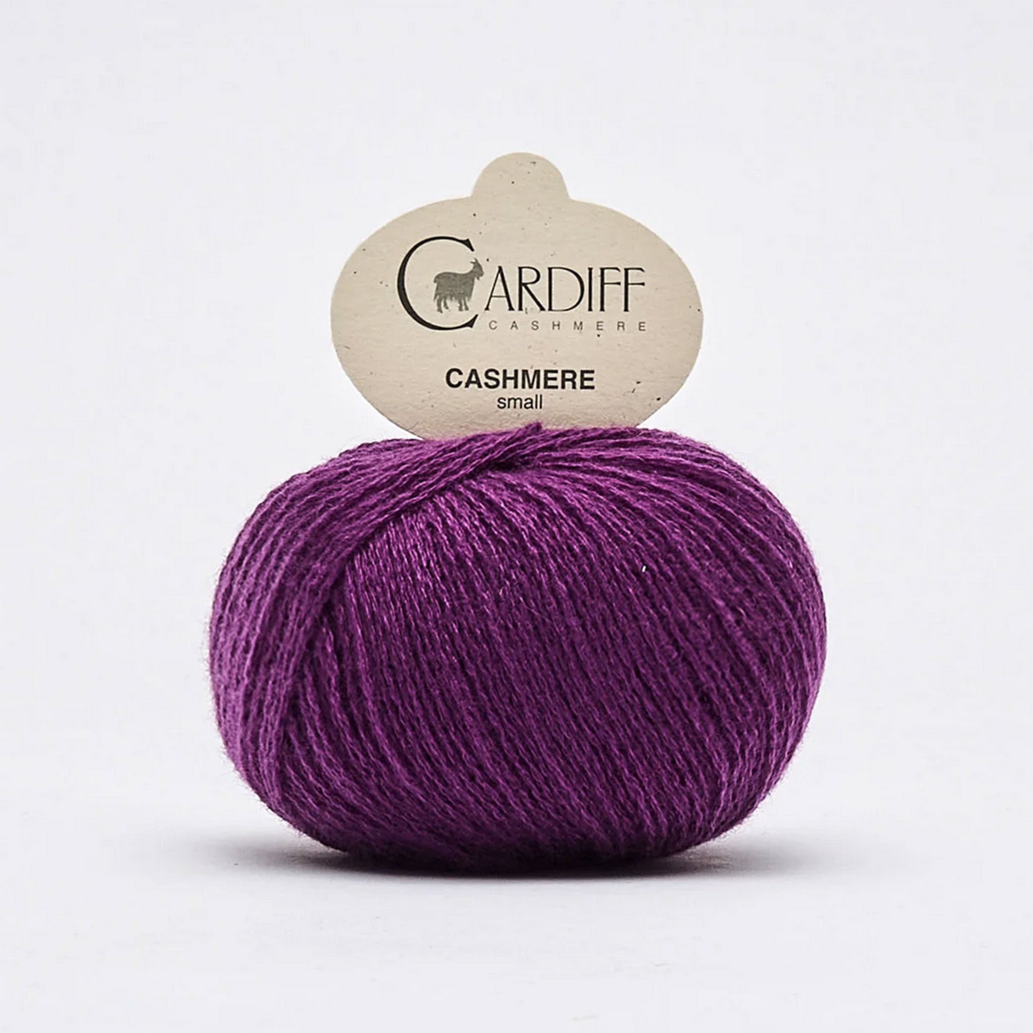 Cardiff Cashmere | Small | 100% Cashmere Yarn