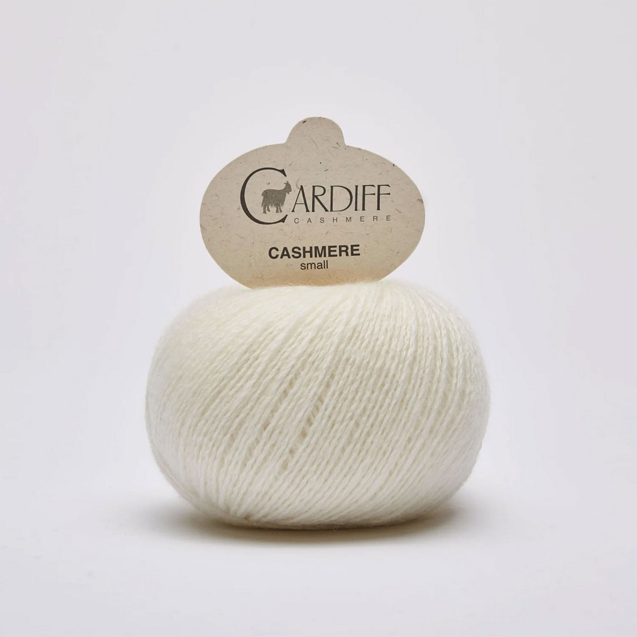 Cardiff Cashmere | Small | 100% Cashmere Yarn