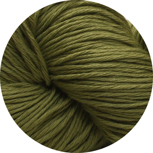 Cotton Cashmere - Asparagus 100g - Click Image to Close
