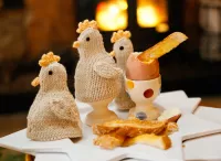 Chick Egg Cosy Knitting Kit