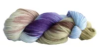 Alegria Sock Yarn Rambla Sur