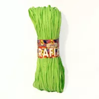 Rafia - light green 77 25g