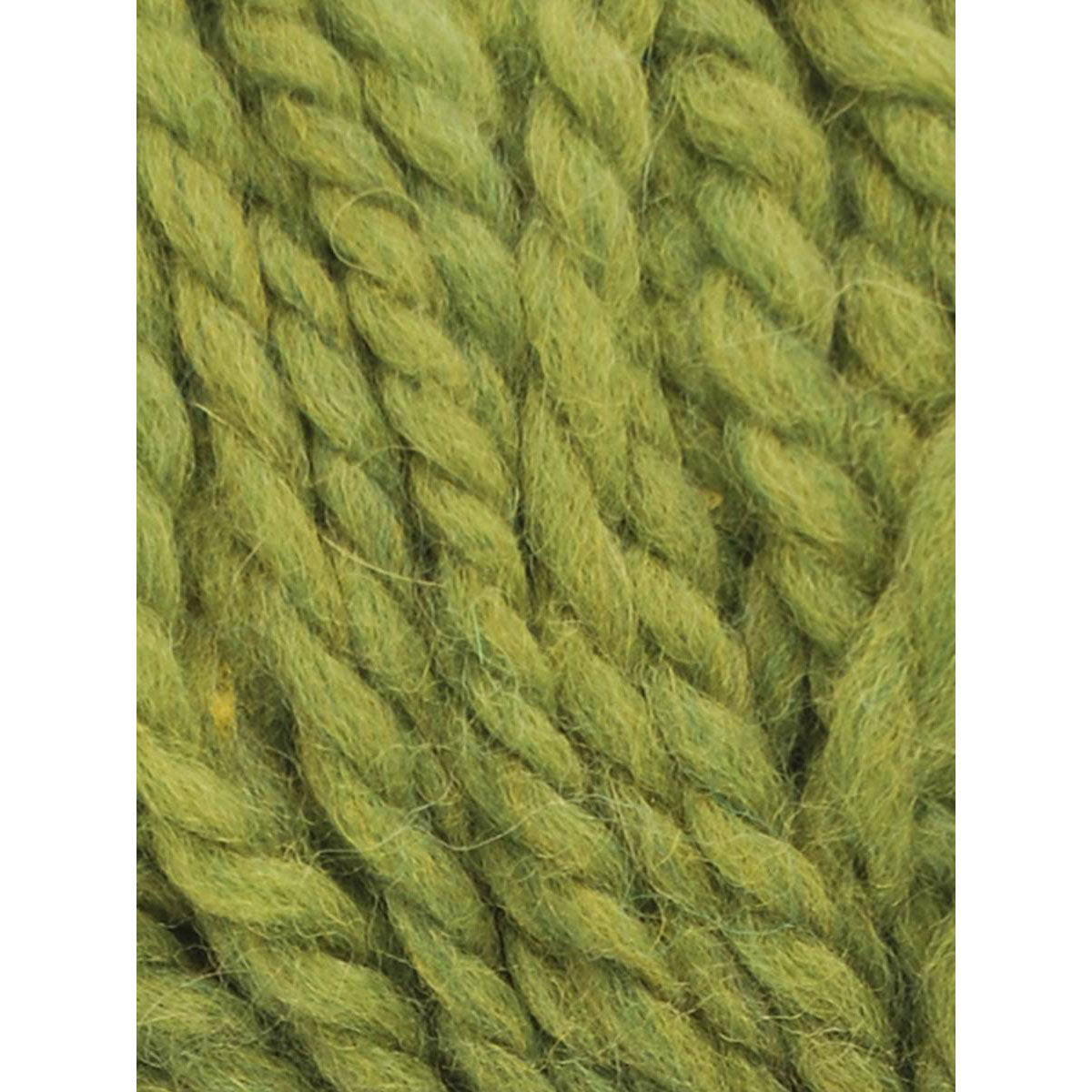 Close-up of deep green textured yarn on a white background