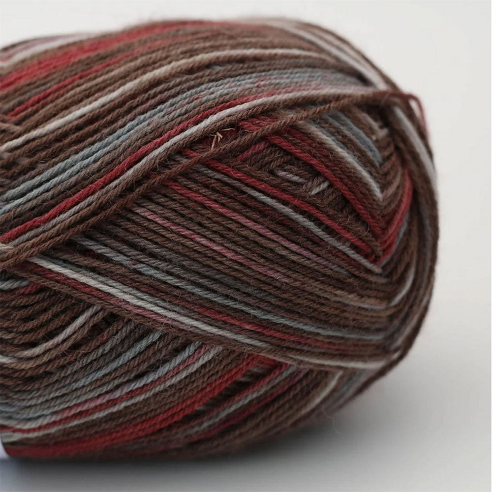 Arne & Carlos Socks & More 4ply Yarn | Self-Patterning Wool Blend