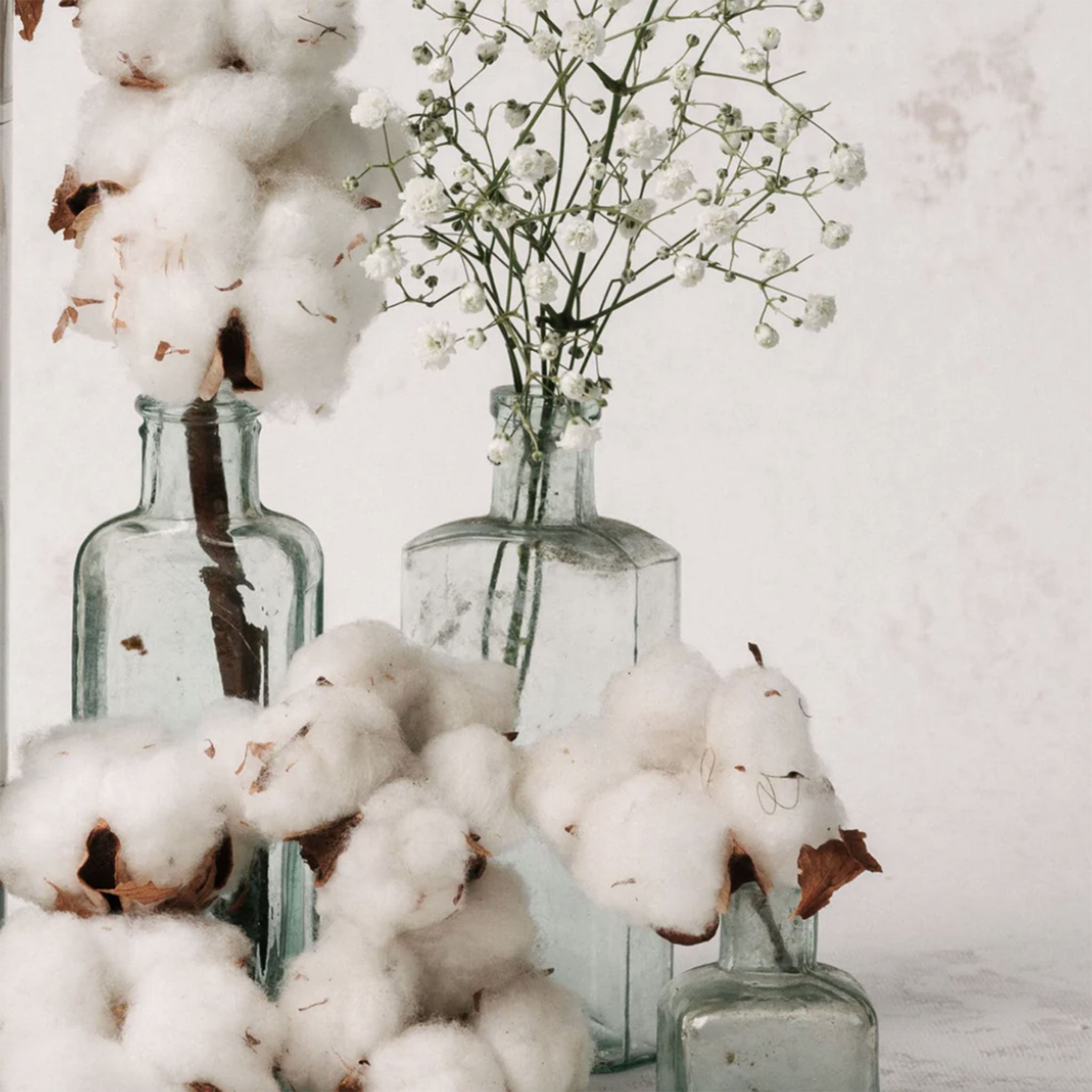 Eco Liquid Baby Detergent | Jasmine and Cherry Blossom