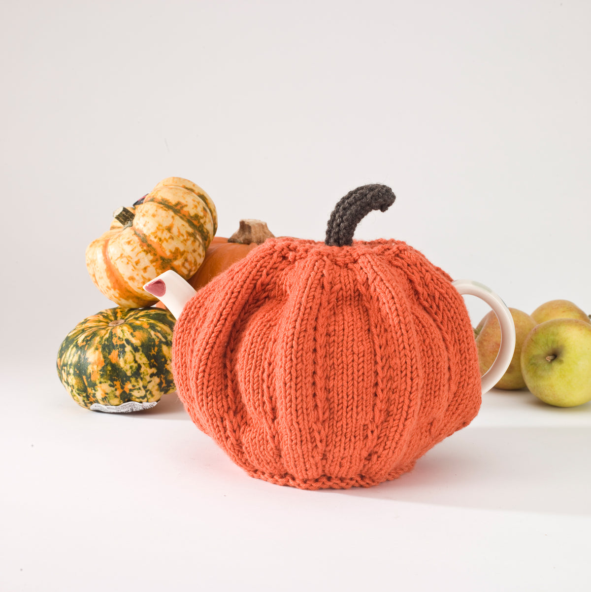Pumpkin Tea Cosy Knitting Kit